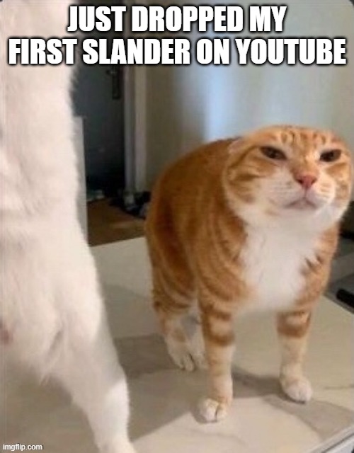 Schizophrenic Cat.pdf | JUST DROPPED MY FIRST SLANDER ON YOUTUBE | image tagged in schizophrenic cat pdf | made w/ Imgflip meme maker