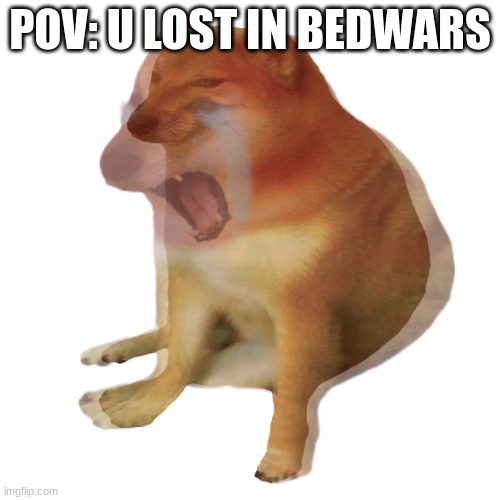 roblox | POV: U LOST IN BEDWARS | image tagged in inner rage cheems | made w/ Imgflip meme maker