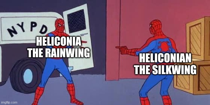 two irrelevant background characters with very similar names | HELICONIA THE RAINWING; HELICONIAN THE SILKWING | image tagged in spider man double | made w/ Imgflip meme maker