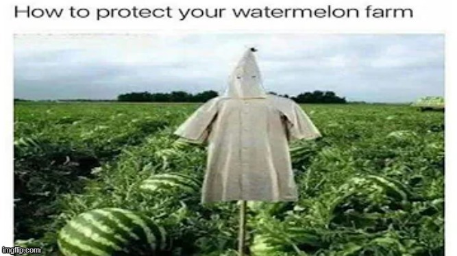 Don't forget to use it to protect your wallet and anything that holds money too! | image tagged in kkk,watermelon | made w/ Imgflip meme maker