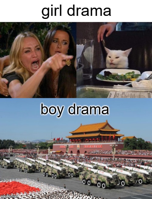 girl drama; boy drama | image tagged in memes,woman yelling at cat,grammer nazi army | made w/ Imgflip meme maker