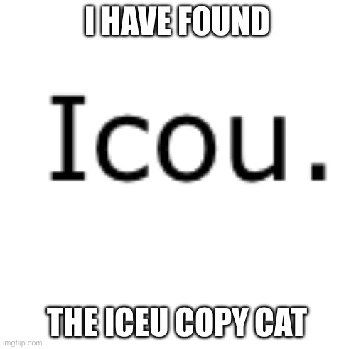 That’s exactly how his username is spelled | I HAVE FOUND; THE ICEU COPY CAT | image tagged in iceu | made w/ Imgflip meme maker
