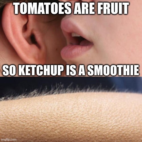 Whisper and Goosebumps | TOMATOES ARE FRUIT; SO KETCHUP IS A SMOOTHIE | image tagged in whisper and goosebumps | made w/ Imgflip meme maker