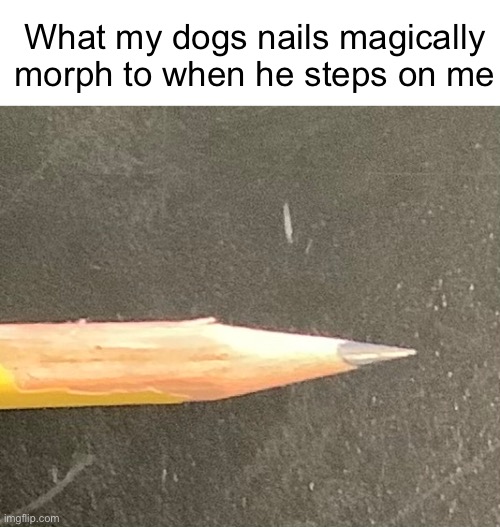 Ouch | What my dogs nails magically morph to when he steps on me | made w/ Imgflip meme maker