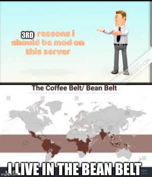 My 3rd Submission | 3RD; I LIVE IN THE BEAN BELT | image tagged in mod,memes,beans,nogif | made w/ Imgflip meme maker