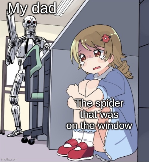 byebye spider | My dad; The spider that was on the window | image tagged in anime girl hiding from terminator | made w/ Imgflip meme maker