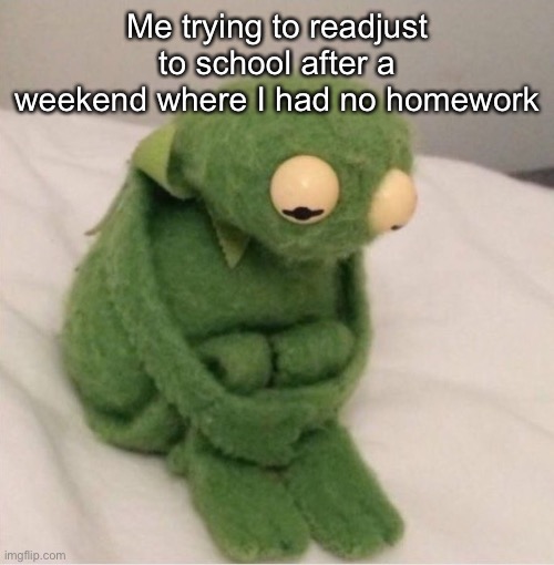 Sad Kermit | Me trying to readjust to school after a weekend where I had no homework | image tagged in sad kermit | made w/ Imgflip meme maker