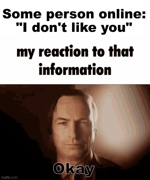 Okay | Some person online: "I don't like you"; Okay | image tagged in memes,better call saul | made w/ Imgflip meme maker