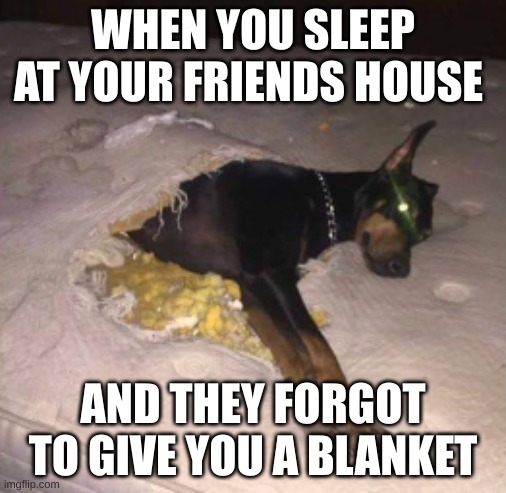 sleeping at friends house | WHEN YOU SLEEP AT YOUR FRIENDS HOUSE; AND THEY FORGOT TO GIVE YOU A BLANKET | image tagged in memes,funny memes | made w/ Imgflip meme maker