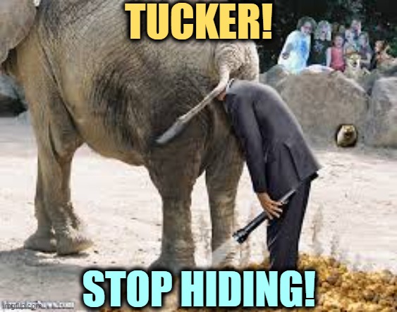 Where's Tucker? | TUCKER! STOP HIDING! | image tagged in gop republicans looking for tucker carlson - elephant,tucker carlson,you're fired,fox news | made w/ Imgflip meme maker