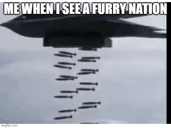 NUKES ON FURRIES | ME WHEN I SEE A FURRY NATION | image tagged in memes,anti furry,nuke,airplane | made w/ Imgflip meme maker