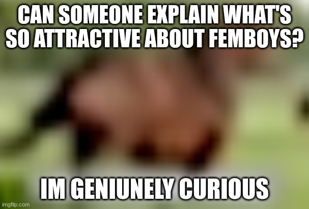 pls answer im genuinely curious | CAN SOMEONE EXPLAIN WHAT'S SO ATTRACTIVE ABOUT FEMBOYS? IM GENIUNELY CURIOUS | image tagged in extremely low quality horse,why,are you,attracted to,femboys | made w/ Imgflip meme maker