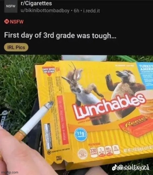 im pretty sure they removed the animals off the lunchables brand | made w/ Imgflip meme maker
