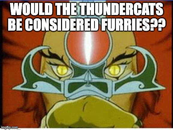 Thundercats | WOULD THE THUNDERCATS BE CONSIDERED FURRIES?? | image tagged in thundercats | made w/ Imgflip meme maker