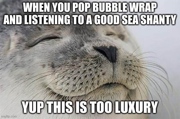 Am I right. | WHEN YOU POP BUBBLE WRAP AND LISTENING TO A GOOD SEA SHANTY; YUP THIS IS TOO LUXURY | image tagged in memes,satisfied seal | made w/ Imgflip meme maker