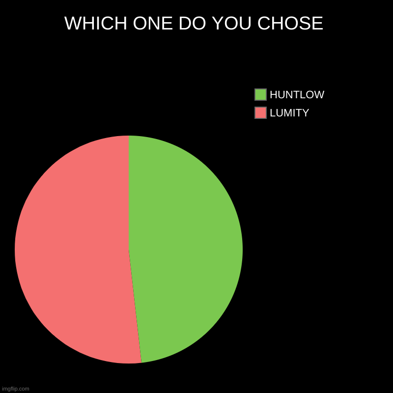 WHICH ONE DO YOU CHOSE | LUMITY, HUNTLOW | image tagged in charts,pie charts | made w/ Imgflip chart maker