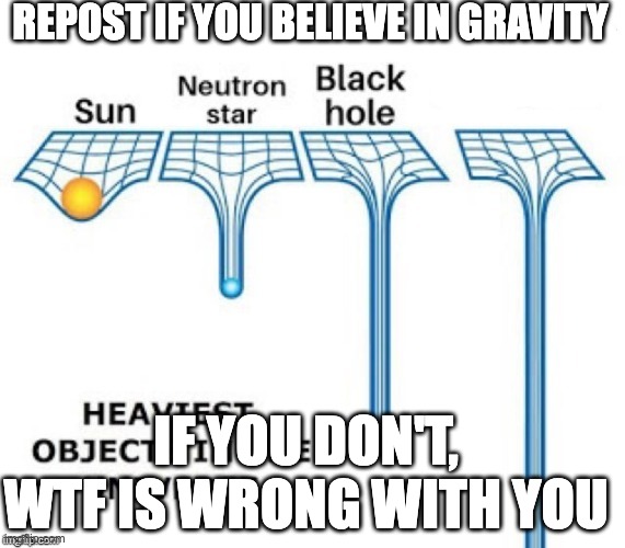 heaviest objects in the universe | REPOST IF YOU BELIEVE IN GRAVITY; IF YOU DON'T, WTF IS WRONG WITH YOU | image tagged in heaviest objects in the universe | made w/ Imgflip meme maker