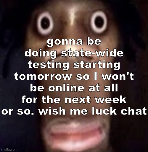 if i miss any drama im gonna be mad :skull: | gonna be doing state-wide testing starting tomorrow so I won't be online at all for the next week or so. wish me luck chat | image tagged in quandale dingle | made w/ Imgflip meme maker