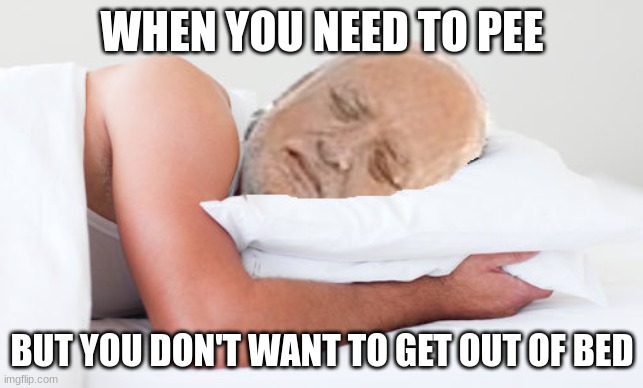 Me at 3 am | WHEN YOU NEED TO PEE; BUT YOU DON'T WANT TO GET OUT OF BED | image tagged in i hate my life | made w/ Imgflip meme maker