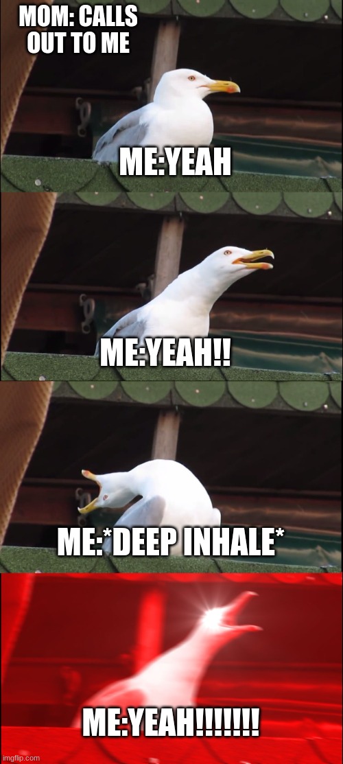 every day man, every day... | MOM: CALLS OUT TO ME; ME:YEAH; ME:YEAH!! ME:*DEEP INHALE*; ME:YEAH!!!!!!! | image tagged in memes,inhaling seagull,yelling,scream | made w/ Imgflip meme maker