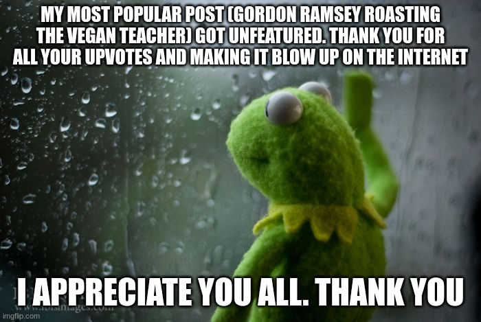 they said it was a repost :( | MY MOST POPULAR POST (GORDON RAMSEY ROASTING THE VEGAN TEACHER) GOT UNFEATURED. THANK YOU FOR ALL YOUR UPVOTES AND MAKING IT BLOW UP ON THE INTERNET; I APPRECIATE YOU ALL. THANK YOU | image tagged in kermit window | made w/ Imgflip meme maker