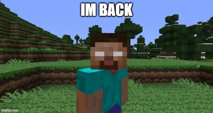 Herobrine | IM BACK | image tagged in herobrine | made w/ Imgflip meme maker
