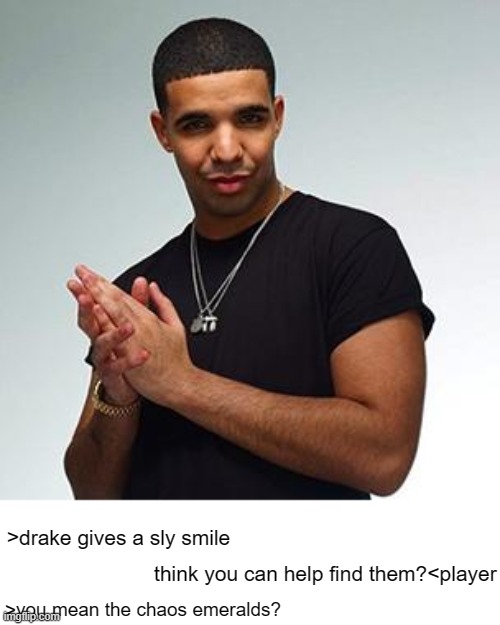 drake | >drake gives a sly smile; think you can help find them?<player; >you mean the chaos emeralds? | image tagged in drake | made w/ Imgflip meme maker
