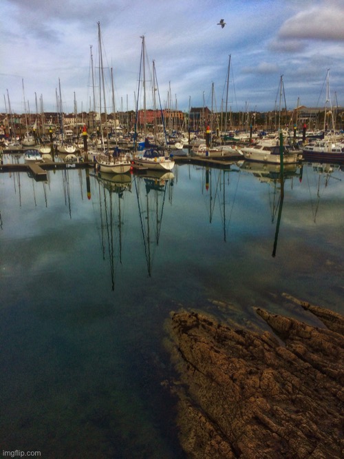 Bangor Marina | image tagged in reflections,boats,marina,ireland,evening light | made w/ Imgflip meme maker