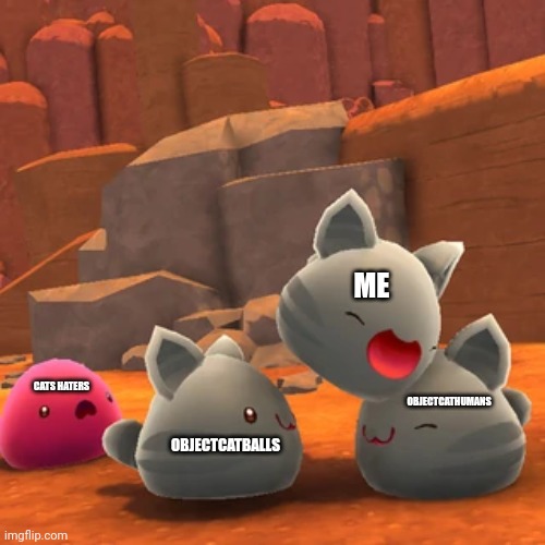 Catballs and cathumans always called Objectcatballs and Objectcathumans | ME; CATS HATERS; OBJECTCATBALLS; OBJECTCATHUMANS | image tagged in tabby playing,slime rancher | made w/ Imgflip meme maker