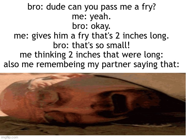 bro and me at a burger joint: | bro: dude can you pass me a fry?
me: yeah.
bro: okay.
me: gives him a fry that's 2 inches long.
bro: that's so small!
me thinking 2 inches that were long:
also me remembeing my partner saying that: | image tagged in meme,funny,poop,fun | made w/ Imgflip meme maker