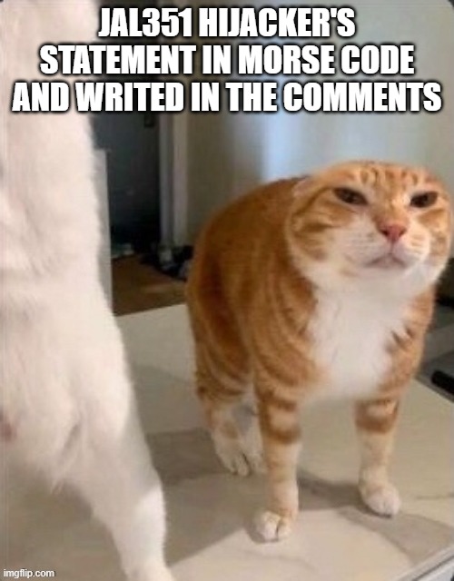 Schizophrenic Cat.pdf | JAL351 HIJACKER'S STATEMENT IN MORSE CODE AND WRITED IN THE COMMENTS | image tagged in schizophrenic cat pdf | made w/ Imgflip meme maker