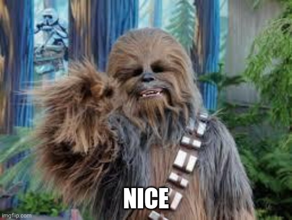 Chewbacca laughing | NICE | image tagged in chewbacca laughing | made w/ Imgflip meme maker