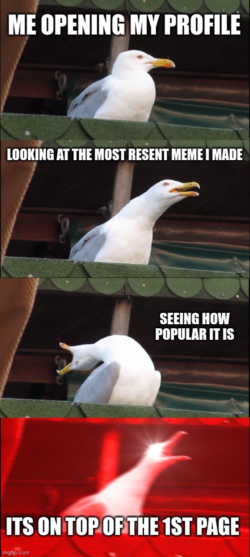 Inhaling Seagull Meme | ME OPENING MY PROFILE; LOOKING AT THE MOST RESENT MEME I MADE; SEEING HOW POPULAR IT IS; ITS ON TOP OF THE 1ST PAGE | image tagged in memes,inhaling seagull | made w/ Imgflip meme maker