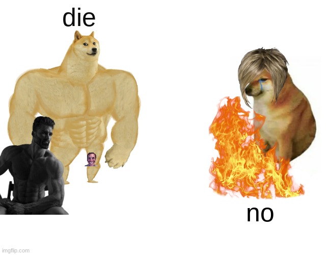 Buff Doge vs. Cheems Meme | die; no | image tagged in memes,buff doge vs cheems | made w/ Imgflip meme maker