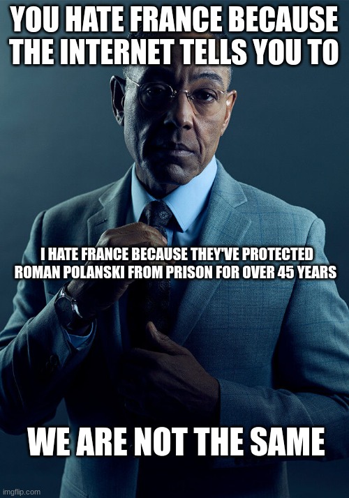 He should be thrown into a hydraulic press | YOU HATE FRANCE BECAUSE THE INTERNET TELLS YOU TO; I HATE FRANCE BECAUSE THEY'VE PROTECTED ROMAN POLANSKI FROM PRISON FOR OVER 45 YEARS; WE ARE NOT THE SAME | image tagged in gus fring we are not the same,pedophile,france | made w/ Imgflip meme maker