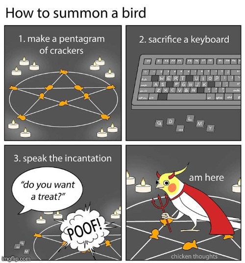 Bird summoning | image tagged in summon,summons,birds,bird,comics,comics/cartoons | made w/ Imgflip meme maker