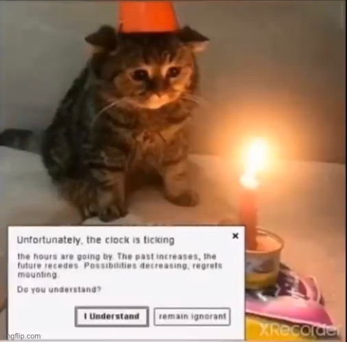 . | made w/ Imgflip meme maker