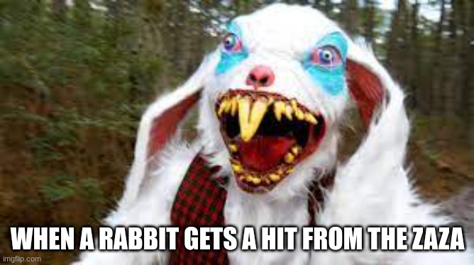 when a rabbit gets a hit from the zaza | WHEN A RABBIT GETS A HIT FROM THE ZAZA | image tagged in funny | made w/ Imgflip meme maker