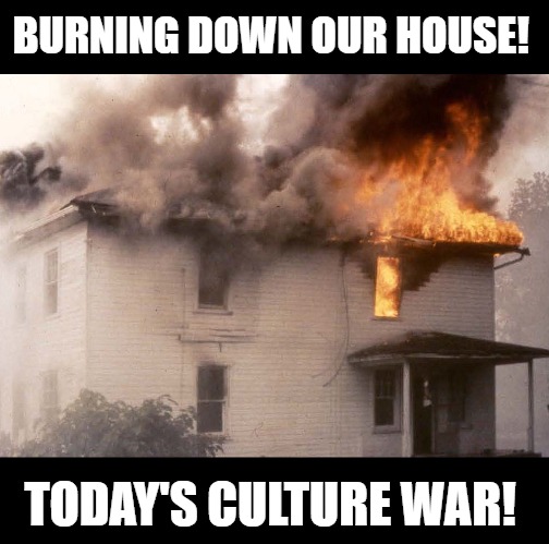 A House Divided. | BURNING DOWN OUR HOUSE! TODAY'S CULTURE WAR! | image tagged in america,funny | made w/ Imgflip meme maker