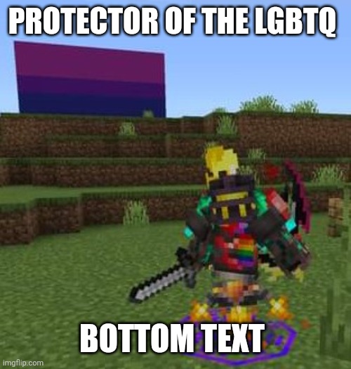 PROTECTOR OF THE LGBTQ; BOTTOM TEXT | image tagged in minecraft,gaming,lgbtq,pride,bisexual,nintendo switch | made w/ Imgflip meme maker
