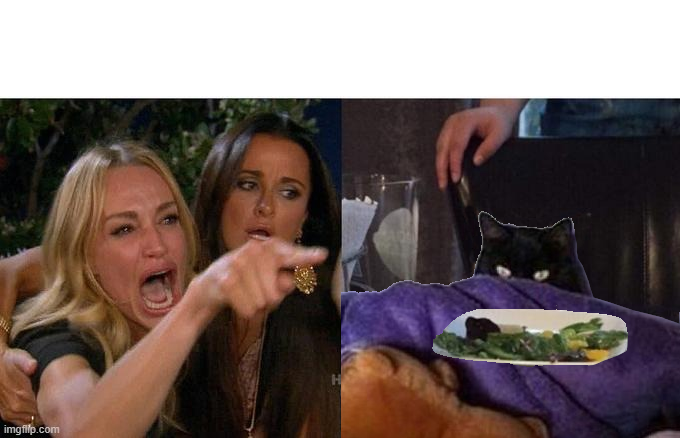 Woman Yelling at tacLive food Blank Meme Template