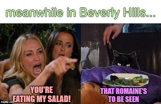 Woman Yelling at taclivE | meanwhile in Beverly Hills... YOU'RE EATING MY SALAD! THAT ROMAINE'S TO BE SEEN | image tagged in woman yelling at taclive food,memes,woman yelling at cat,taclive,raycat | made w/ Imgflip meme maker