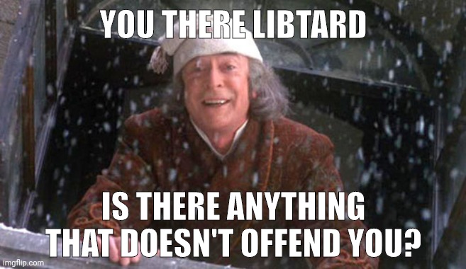 You there... | YOU THERE LIBTARD; IS THERE ANYTHING THAT DOESN'T OFFEND YOU? | image tagged in scrooge muppet | made w/ Imgflip meme maker