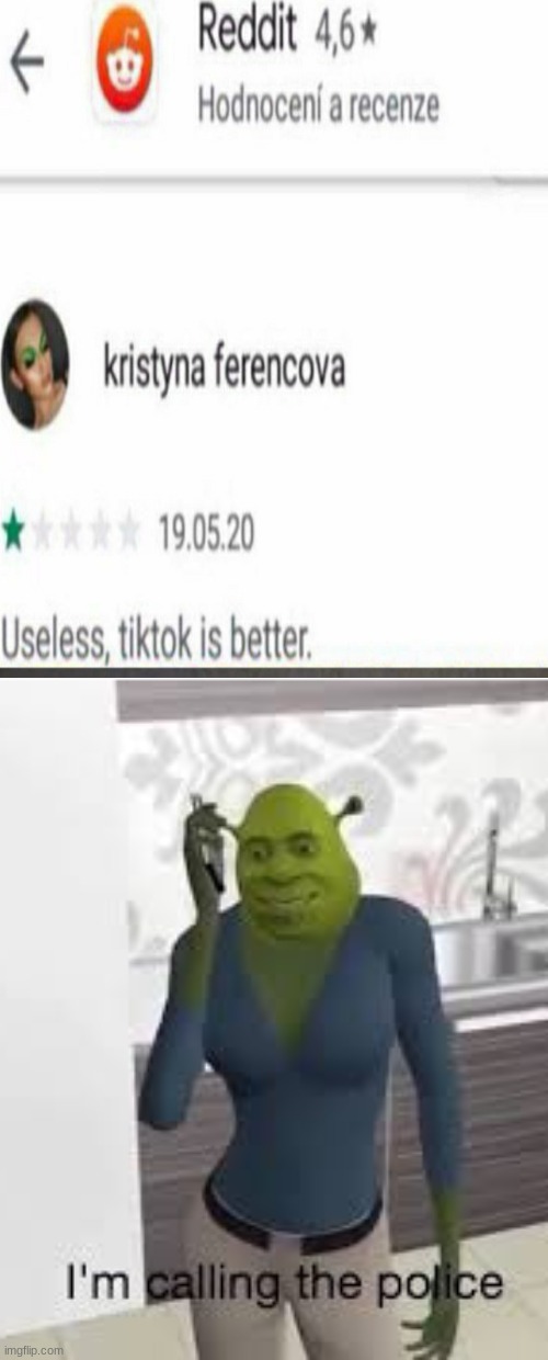 What. | image tagged in shrek i'm calling the police,wtf,tiktok | made w/ Imgflip meme maker