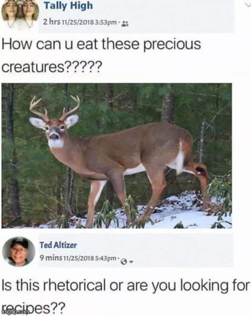 bros fearless | image tagged in memes,funny,vegan | made w/ Imgflip meme maker