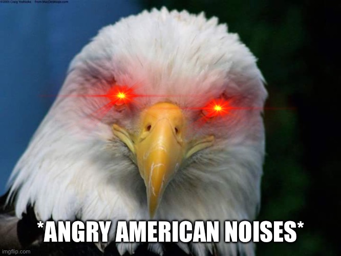 American Bald Eagle | *ANGRY AMERICAN NOISES* | image tagged in american bald eagle | made w/ Imgflip meme maker