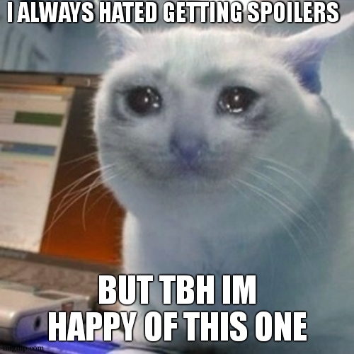 Crying cat | I ALWAYS HATED GETTING SPOILERS BUT TBH IM HAPPY OF THIS ONE | image tagged in crying cat | made w/ Imgflip meme maker