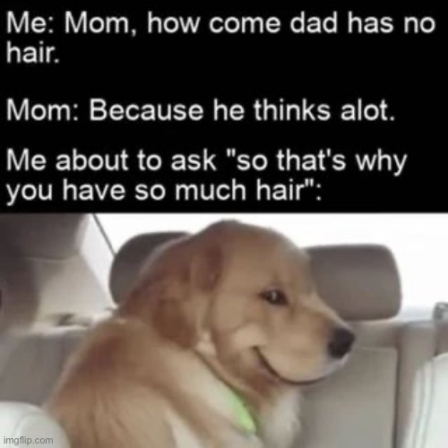 image tagged in memes,funny | made w/ Imgflip meme maker