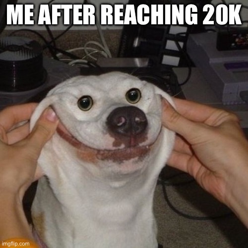 Me after reaching 20k | ME AFTER REACHING 20K | image tagged in dogs,smiling dog,memes,20k | made w/ Imgflip meme maker
