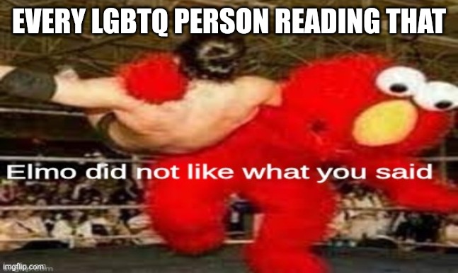elmo did not like what you said | EVERY LGBTQ PERSON READING THAT | image tagged in elmo did not like what you said | made w/ Imgflip meme maker